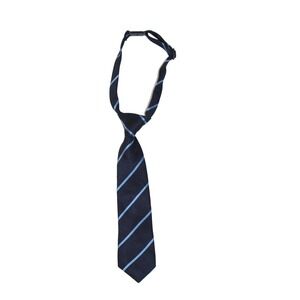 The Childrens Place Baby Boys Navy Blue Light Blue Striped Clip-On Tie 6 to 18